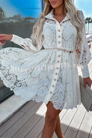 Lace Hollow Button Long Sleeve Mini Dress